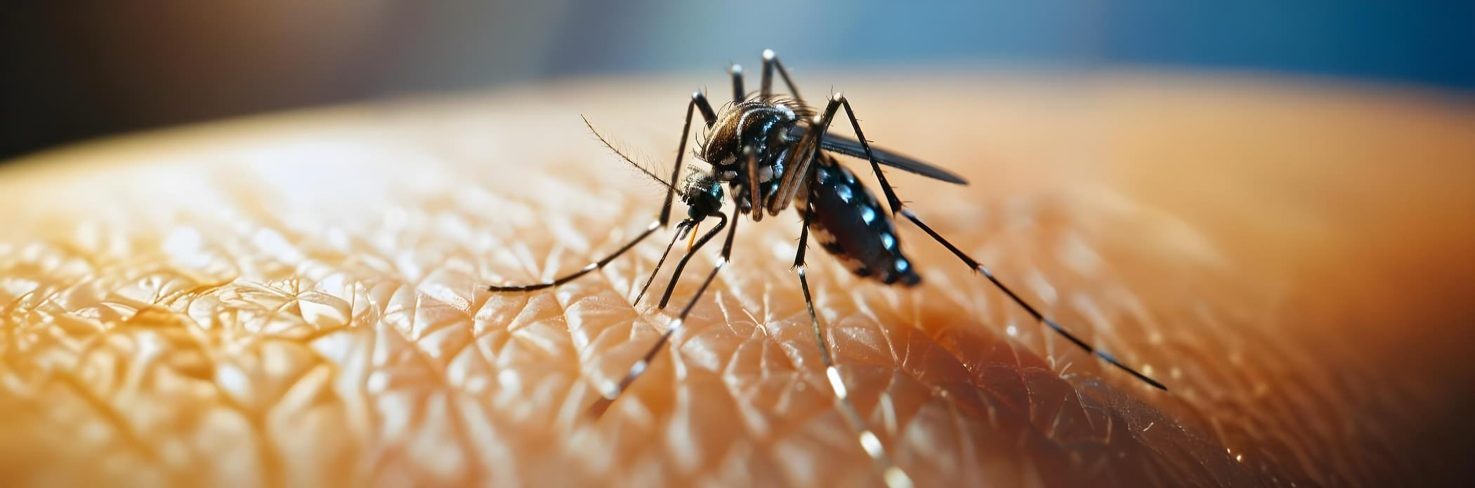 Thermacell Thermacell