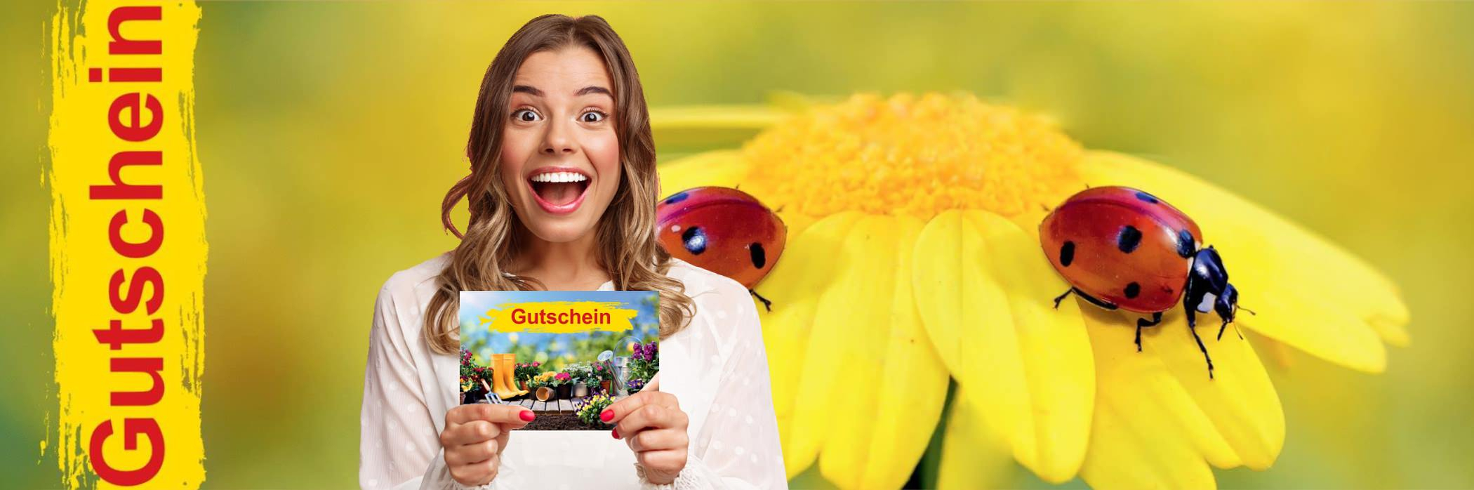 Gutscheine Gutscheine