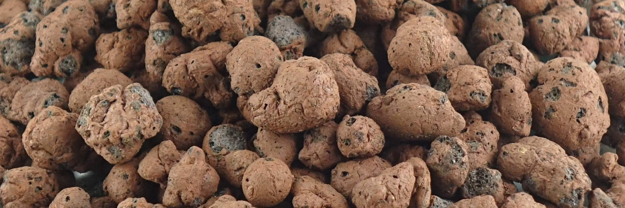 Tongranulate Tongranulate
