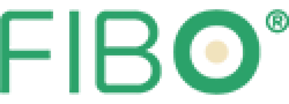 Fibo ExClay Deutschland GmbH