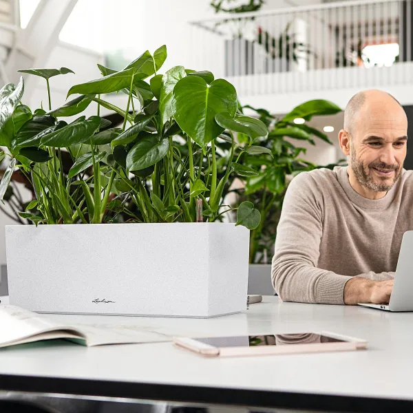 1er + 2 Set LECHUZA® Blumenkasten BALCONERA Stone 50 Quarzweiß All-in-One