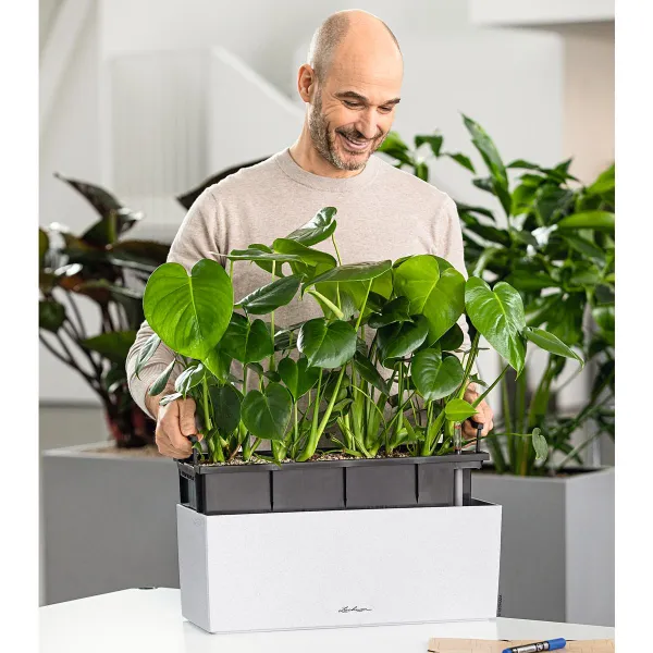 1er + 2 Set LECHUZA® Blumenkasten BALCONERA Stone 50 Quarzweiß All-in-One