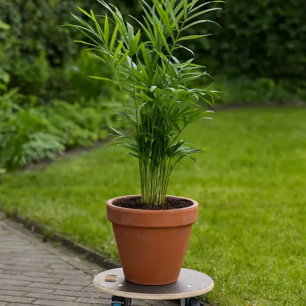 Esschert Design Pflanzenroller Outdoor Ø 38 cm rund