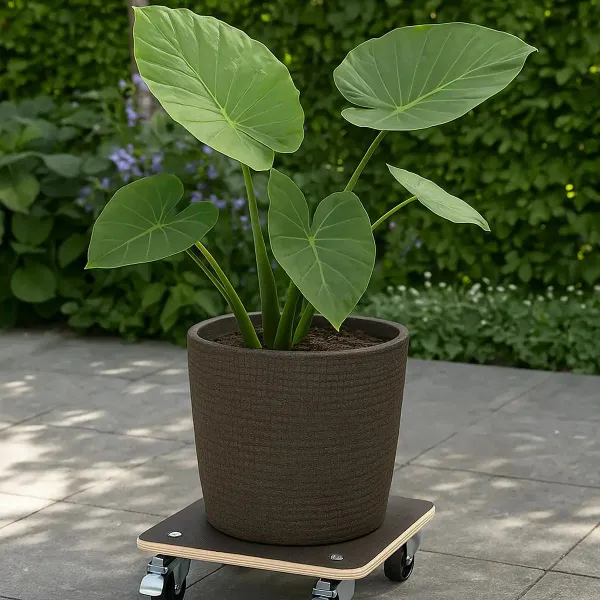 Esschert Design Pflanzenroller Outdoor quadratisch 38 x 38 cm