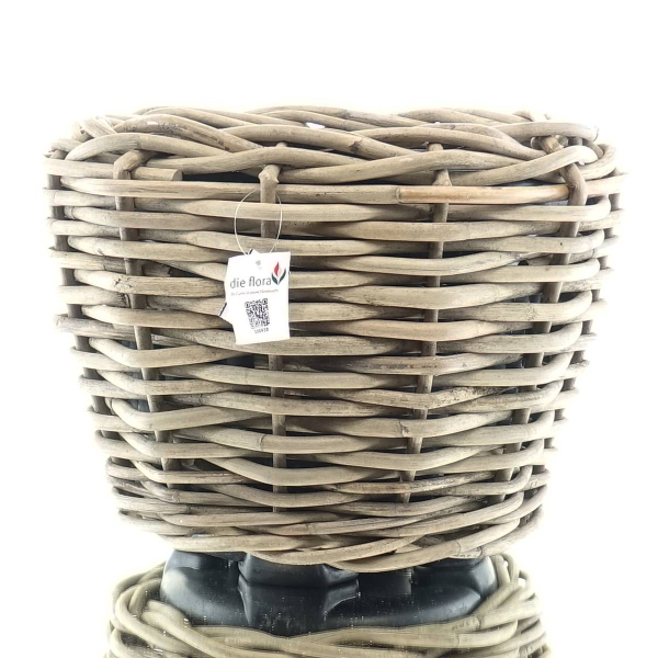 VAN DER LEEDEN DRYPOT® Rattan Pflanzkübel Grau Ø 47 cm - Sylter Körbe