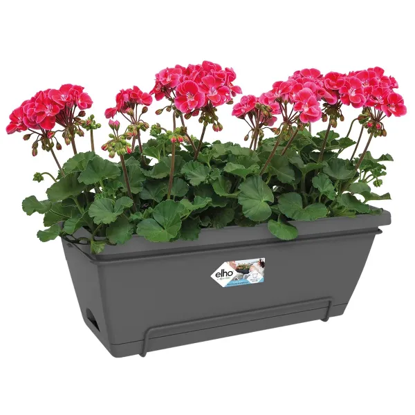elho® Barcelona Balkonkasten XL Anthrazit 55 cm all-in-1 mit Halterung