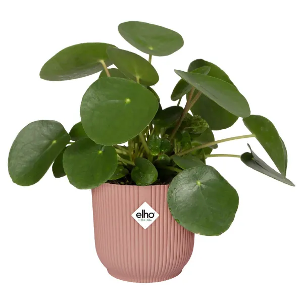 elho® Vibes Übertopf Fold Zartrosa Ø 25 cm - Kunststoff