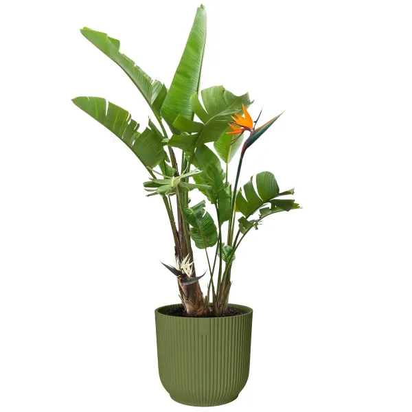 elho® Vibes Übertopf Fold Farngrün Ø 30 cm - Kunststoff