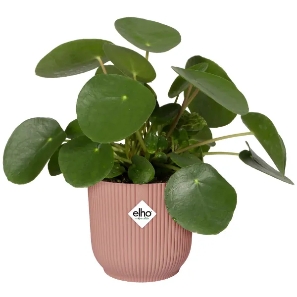 elho® Vibes Übertopf Fold Zartrosa Ø 40 cm - Kunststoff