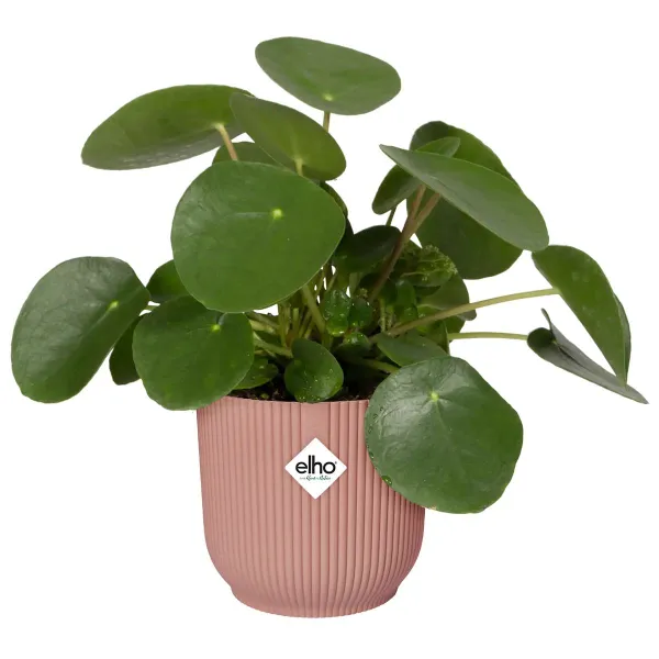 elho® Vibes Übertopf Fold Zartrosa Ø 47 cm - Kunststoff