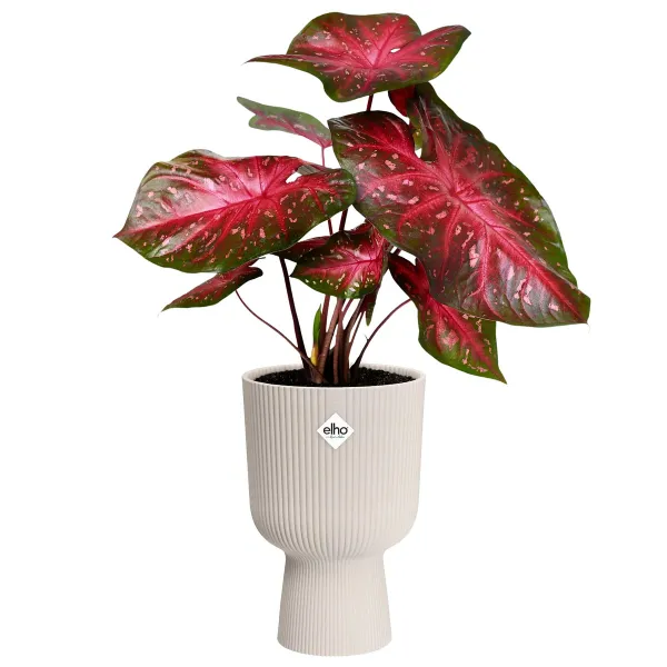 elho® Vibes Übertopf Fold Cup Leinenweiß Ø 14 cm - Kunststoff