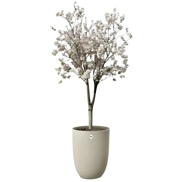 elho® Sereh Pflanzgefäß Hoch Mushroom beige Ø 39 cm - Kunststoff