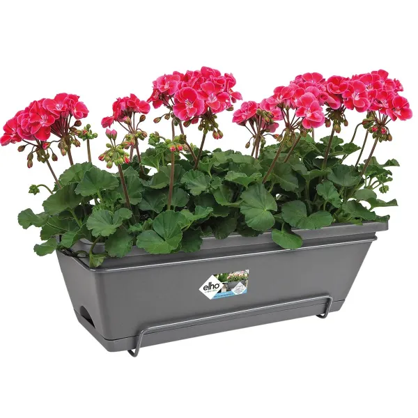 elho® Barcelona Balkonkasten Anthrazit 50 cm all-in-1 mit Halterung