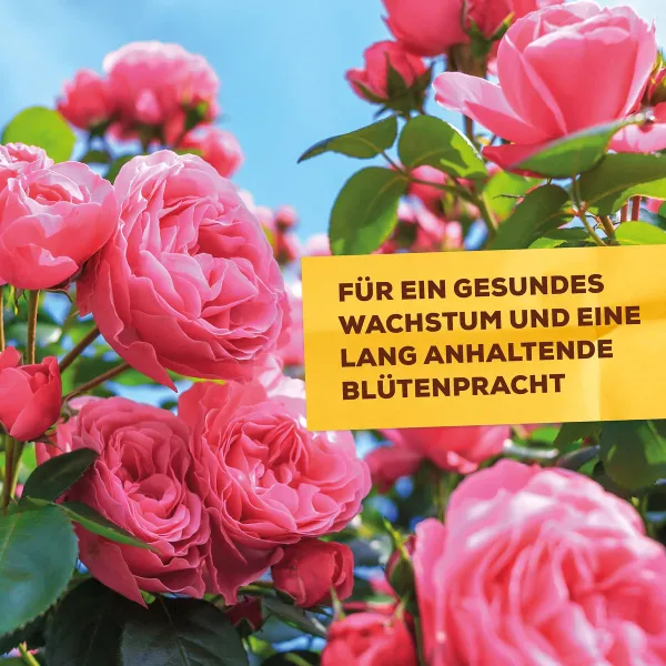 2er-Set Solabiol® Brennnessel Sud für schädlingsanfällige Pflanzen 1 Liter Konzentrat Artikel EAN 366471000334