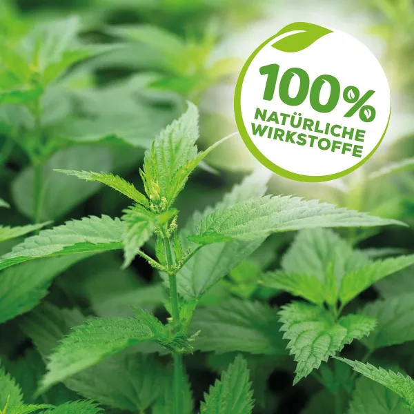 2er-Set Solabiol® Brennnessel Sud für schädlingsanfällige Pflanzen 1 Liter Konzentrat Artikel EAN 366471000334