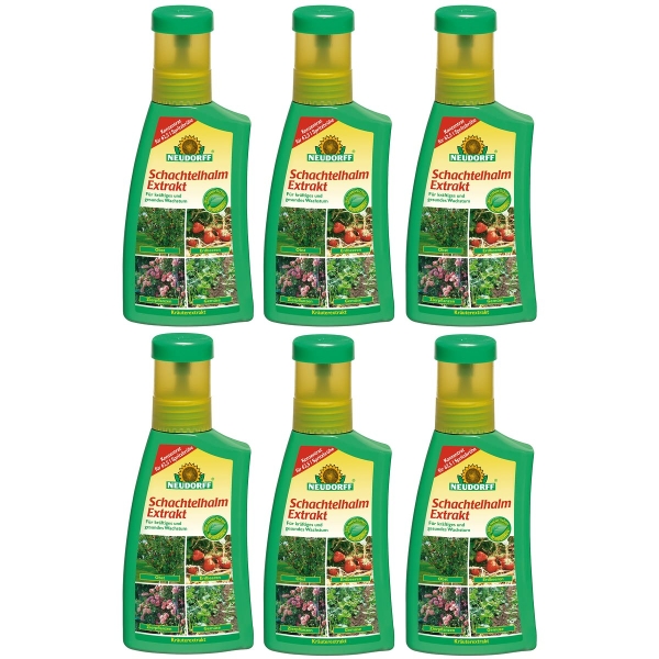 NEUDORFF® Schachtelhalm Extrakt Konzentrat - 250 ml x 6
