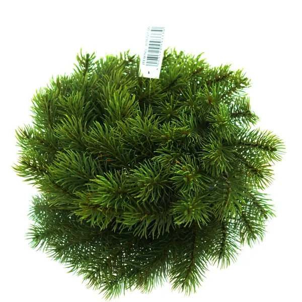 Adventskranz Tanne grün Ø 23 cm - Kunststoff