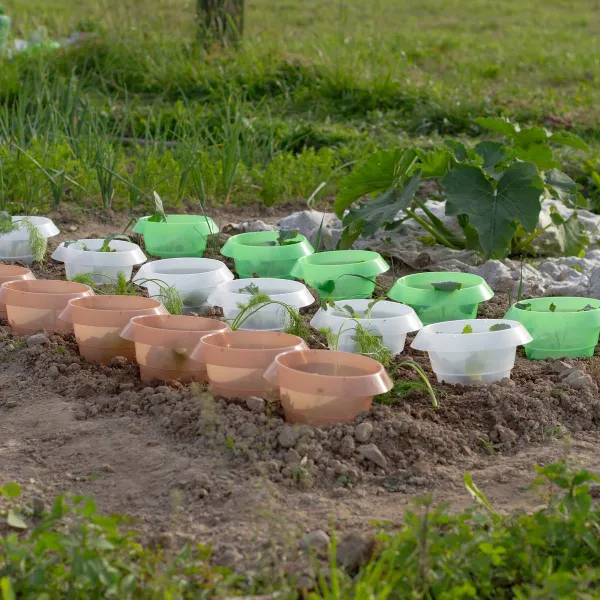 Andermatt Biogarten SchneckenStopp PP transparent Set à 12 Stück