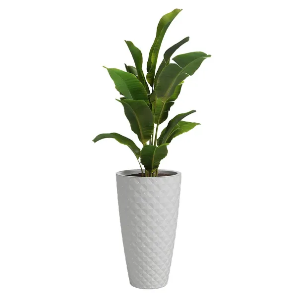 artevasi© HAVANA TROPICAL Pflanzgefäß Limestone Grey Hellgrau 70 cm - Kunststoff