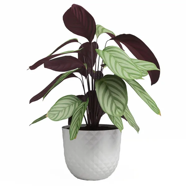 artevasi© HAVANA TROPICAL Pflanztopf Granite White weiß Ø 20 cm - Kunststoff