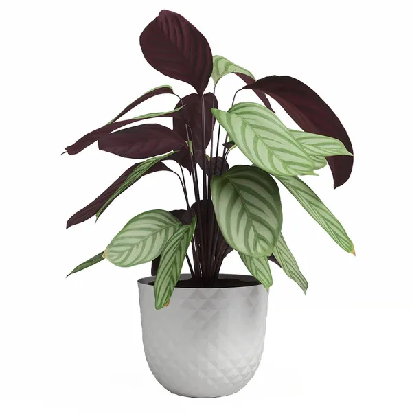 artevasi© HAVANA TROPICAL Pflanztopf Granite White weiß Ø 40 cm - Kunststoff