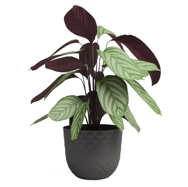 artevasi© HAVANA TROPICAL Pflanztopf Mud Grey dunkelgrau Ø 40 cm - Kunststoff