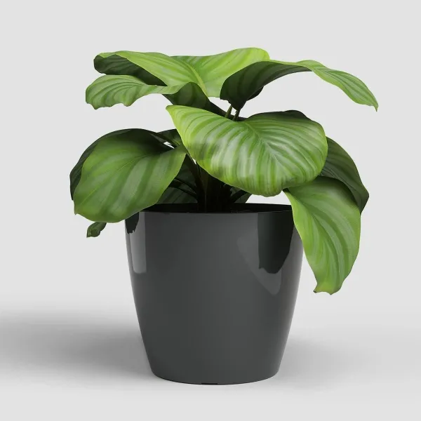 artevasi© SAN REMO Pflanzgefäß & Übertopf Anthrazit glänzend Ø 36 cm - Kunststoff