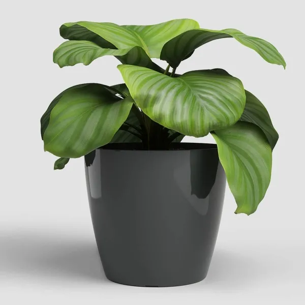 artevasi© SAN REMO Übertopf Anthrazit glänzend Ø 20 cm - Kunststoff