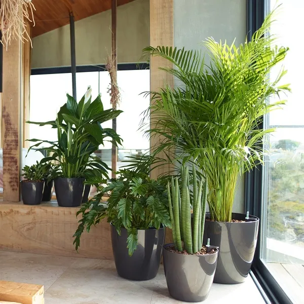 artevasi© SAN REMO Übertopf Anthrazit glänzend Ø 20 cm - Kunststoff