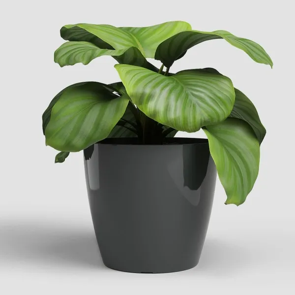 artevasi© SAN REMO Übertopf Anthrazit glänzend Ø 25 cm - Kunststoff