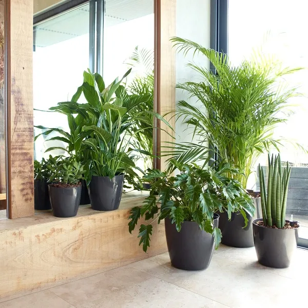 artevasi© SAN REMO Übertopf Anthrazit glänzend Ø 25 cm - Kunststoff