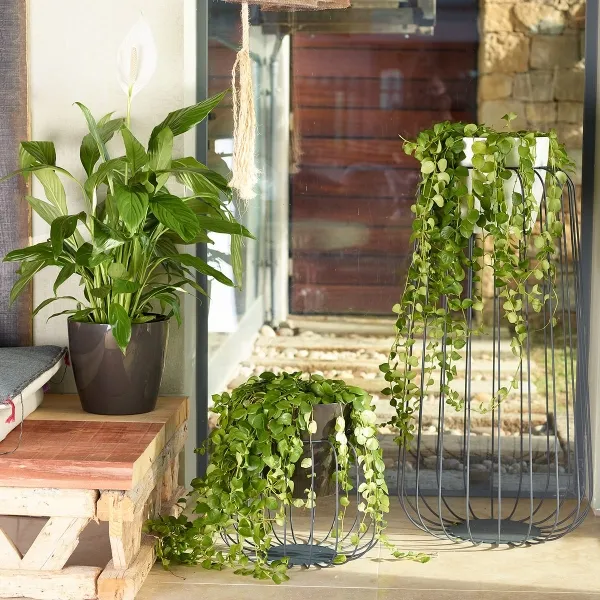 artevasi© SAN REMO Übertopf Anthrazit glänzend Ø 25 cm - Kunststoff