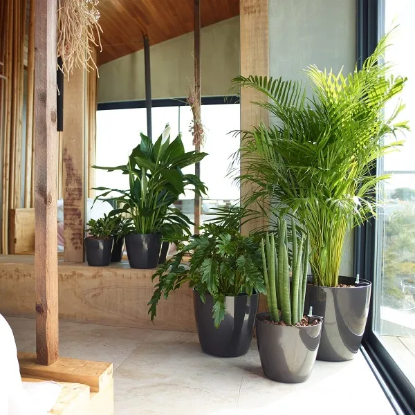 artevasi© SAN REMO Übertopf Anthrazit glänzend Ø 25 cm - Kunststoff