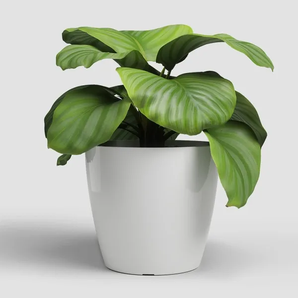 artevasi© SAN REMO Übertopf Weiß glänzend Ø 25 cm - Kunststoff