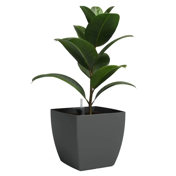 artevasi© SIENA Pflanzgefäß Anthrazit mit Bewässerungssystem 30 cm - Kunststoff