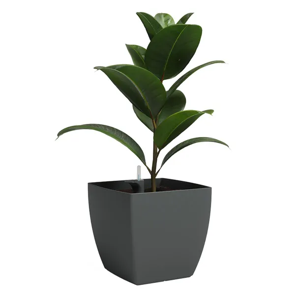 artevasi© SIENA Pflanzgefäß Anthrazit mit Bewässerungssystem 40 cm - Kunststoff