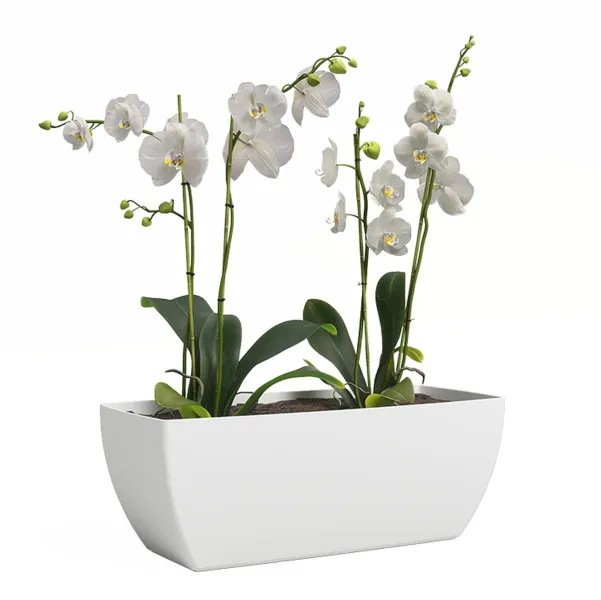 artevasi© SIENA Pflanzgefäß Weiß 40 x 14,7 cm - Kunststoff