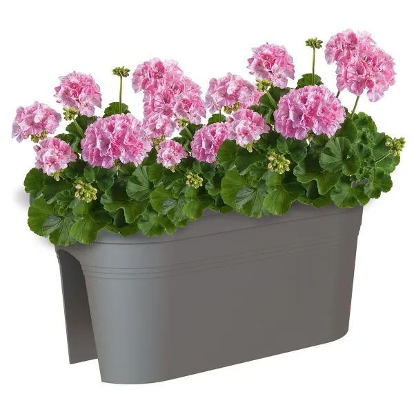 artevasi© VENEZIA Jardiniere Geländerkasten Anthrazit 60 cm - Kunststoff