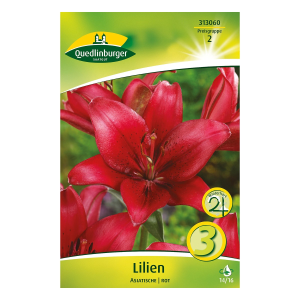 Asiatische Lilien Rot