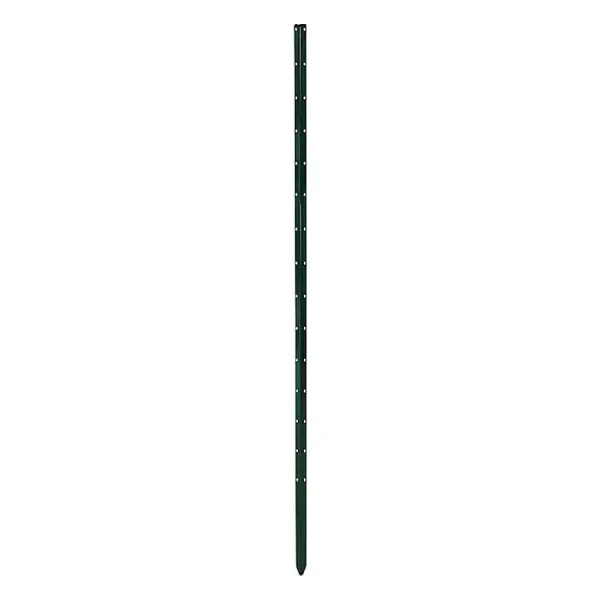 Bellissa Pflanzstab Timo 100 cm grün