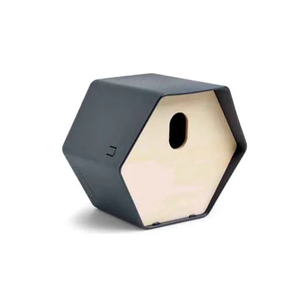 Capi Europe Vogelhäuschen 2 Hive anthrazit 23 x 19 x 20 cm - Kunststoff