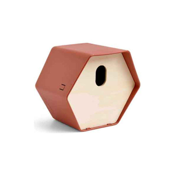 Capi Europe Vogelhäuschen 2 Hive braun 23 x 19 x 20 cm - Kunststoff