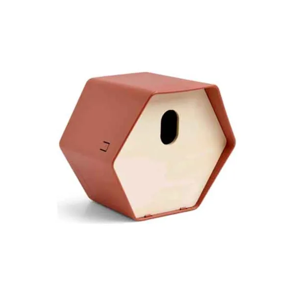 Capi Europe Vogelhäuschen 2 Hive braun 23 x 19 x 20 cm - Kunststoff