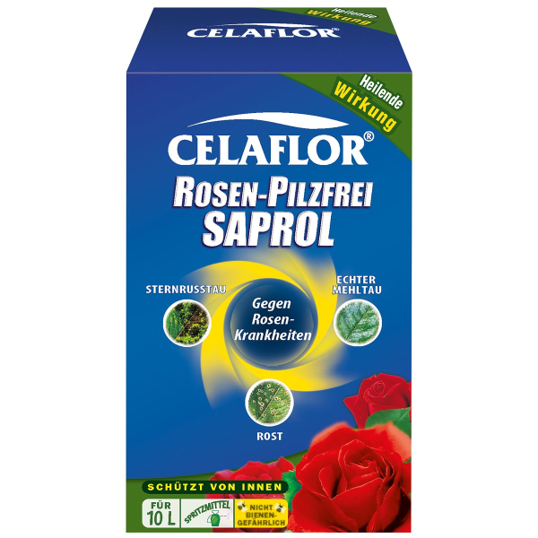 CELAFLOR® SAPROL® Rosen-Pilzfrei Konzentrat - 100 ml