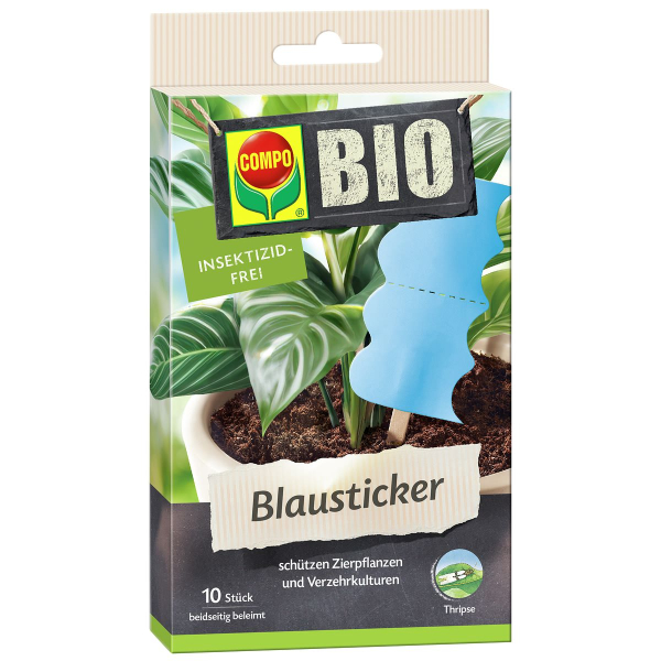 COMPO Blausticker insektizidfrei - 10 Leimfallen