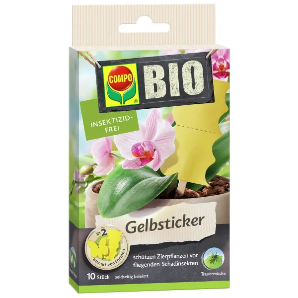 COMPO BIO Gelbsticker insektizidfrei - 10 Stück