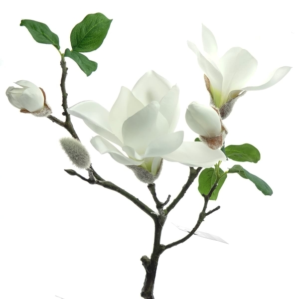 DEKO® FLORALE Magnolienzweig Weiß 75 cm - Kunstblumen
