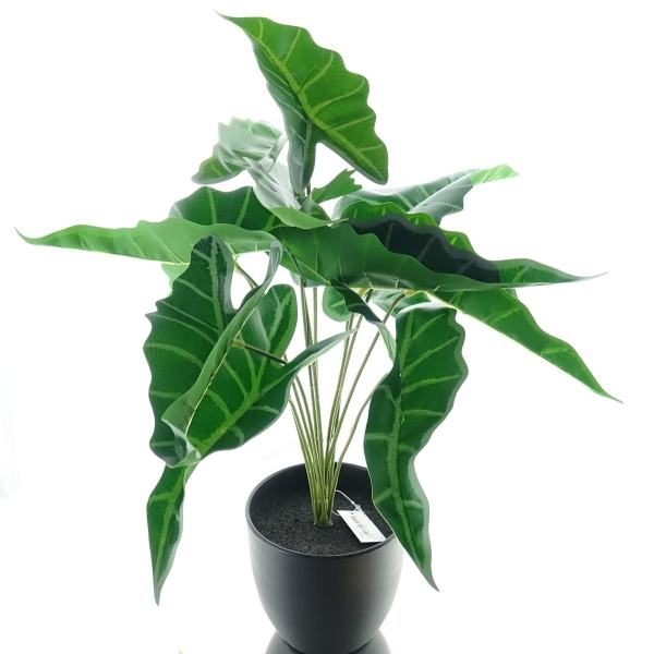 DPI Alocasie Pfeilspitze Grünpflanze 47 cm - Kunstpflanzen
