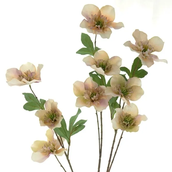 DPI Christrosenstiel Peach-Cream mit 9 Blüten 93 cm - Kunstblumen