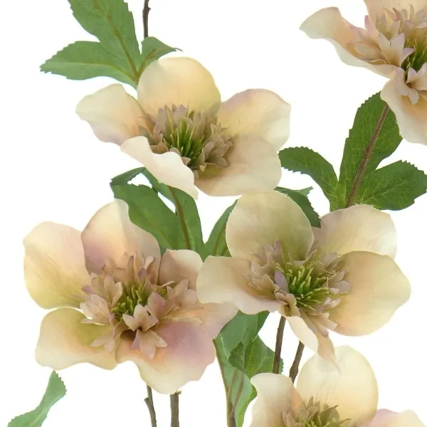 DPI Christrosenstiel Peach-Cream mit 9 Blüten 93 cm - Kunstblumen